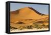 Namibia, Namib-Naukluft National Park, Sossusvlei. Large red dune rising from a while pan.-Ellen Goff-Framed Stretched Canvas