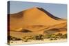 Namibia, Namib-Naukluft National Park, Sossusvlei. Large red dune rising from a while pan.-Ellen Goff-Stretched Canvas