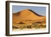 Namibia, Namib-Naukluft National Park, Sossusvlei. Large red dune rising from a while pan.-Ellen Goff-Framed Photographic Print