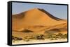 Namibia, Namib-Naukluft National Park, Sossusvlei. Large red dune rising from a while pan.-Ellen Goff-Framed Stretched Canvas