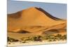 Namibia, Namib-Naukluft National Park, Sossusvlei. Large red dune rising from a while pan.-Ellen Goff-Mounted Photographic Print