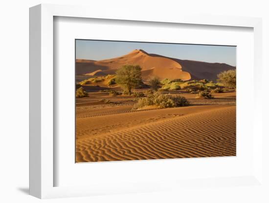 Namibia, Namib-Naukluft National Park, Sossusvlei. Scenic red dunes.-Ellen Goff-Framed Photographic Print