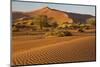 Namibia, Namib-Naukluft National Park, Sossusvlei. Scenic red dunes.-Ellen Goff-Mounted Photographic Print