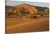 Namibia, Namib-Naukluft National Park, Sossusvlei. Scenic red dunes.-Ellen Goff-Stretched Canvas