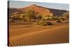 Namibia, Namib-Naukluft National Park, Sossusvlei. Scenic red dunes.-Ellen Goff-Stretched Canvas