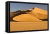 Namibia, Namib-Naukluft National Park, Sossusvlei. Scenic red dunes.-Ellen Goff-Framed Stretched Canvas