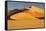 Namibia, Namib-Naukluft National Park, Sossusvlei. Scenic red dunes.-Ellen Goff-Framed Stretched Canvas