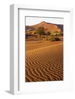 Namibia, Namib-Naukluft National Park, Sossusvlei. Scenic red dunes.-Ellen Goff-Framed Photographic Print