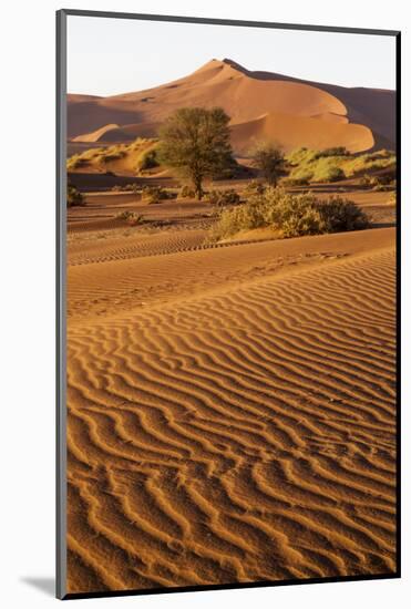 Namibia, Namib-Naukluft National Park, Sossusvlei. Scenic red dunes.-Ellen Goff-Mounted Photographic Print