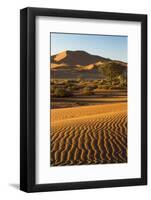 Namibia, Namib-Naukluft National Park, Sossusvlei. Scenic red dunes.-Ellen Goff-Framed Photographic Print