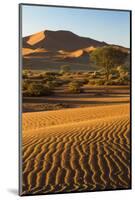 Namibia, Namib-Naukluft National Park, Sossusvlei. Scenic red dunes.-Ellen Goff-Mounted Photographic Print