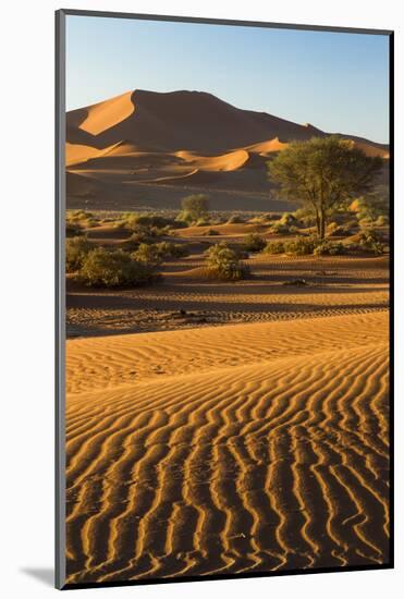 Namibia, Namib-Naukluft National Park, Sossusvlei. Scenic red dunes.-Ellen Goff-Mounted Photographic Print