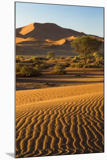 Namibia, Namib-Naukluft National Park, Sossusvlei. Scenic red dunes.-Ellen Goff-Mounted Photographic Print