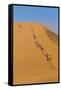 Namibia, Namib-Naukluft National Park, Sossusvlei. Tourists climbing Dune 45.-Ellen Goff-Framed Stretched Canvas