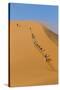 Namibia, Namib-Naukluft National Park, Sossusvlei. Tourists climbing Dune 45.-Ellen Goff-Stretched Canvas