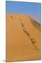 Namibia, Namib-Naukluft National Park, Sossusvlei. Tourists climbing Dune 45.-Ellen Goff-Mounted Photographic Print