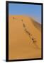 Namibia, Namib-Naukluft National Park, Sossusvlei. Tourists climbing Dune 45.-Ellen Goff-Framed Photographic Print