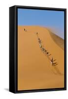 Namibia, Namib-Naukluft National Park, Sossusvlei. Tourists climbing Dune 45.-Ellen Goff-Framed Stretched Canvas