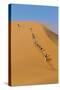 Namibia, Namib-Naukluft National Park, Sossusvlei. Tourists climbing Dune 45.-Ellen Goff-Stretched Canvas