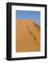 Namibia, Namib-Naukluft National Park, Sossusvlei. Tourists climbing Dune 45.-Ellen Goff-Framed Photographic Print