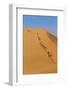 Namibia, Namib-Naukluft National Park, Sossusvlei. Tourists climbing Dune 45.-Ellen Goff-Framed Photographic Print