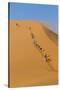 Namibia, Namib-Naukluft National Park, Sossusvlei. Tourists climbing Dune 45.-Ellen Goff-Stretched Canvas