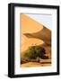 Namibia, Namib-Naukluft National Park, Sossusvlei. Two tourists climbing the scenic dune.-Ellen Goff-Framed Photographic Print