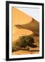 Namibia, Namib-Naukluft National Park, Sossusvlei. Two tourists climbing the scenic dune.-Ellen Goff-Framed Photographic Print