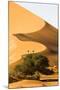 Namibia, Namib-Naukluft National Park, Sossusvlei. Two tourists climbing the scenic dune.-Ellen Goff-Mounted Photographic Print