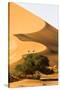 Namibia, Namib-Naukluft National Park, Sossusvlei. Two tourists climbing the scenic dune.-Ellen Goff-Stretched Canvas