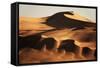 Namibia, Namib Naukluft National Park, World Tallest Desert Dunes-Stuart Westmorland-Framed Stretched Canvas