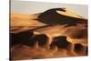 Namibia, Namib Naukluft National Park, World Tallest Desert Dunes-Stuart Westmorland-Stretched Canvas