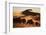 Namibia, Namib Naukluft National Park, World Tallest Desert Dunes-Stuart Westmorland-Framed Photographic Print