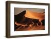 Namibia, Namib Naukluft National Park, World Tallest Dunes-Stuart Westmorland-Framed Photographic Print