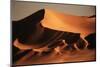 Namibia, Namib Naukluft National Park, World Tallest Dunes-Stuart Westmorland-Mounted Photographic Print