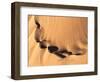 Namibia, Namib-Naukluft Park. Aerial of desert landscape.-Jaynes Gallery-Framed Photographic Print