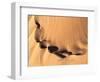 Namibia, Namib-Naukluft Park. Aerial of desert landscape.-Jaynes Gallery-Framed Photographic Print