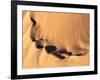 Namibia, Namib-Naukluft Park. Aerial of desert landscape.-Jaynes Gallery-Framed Photographic Print