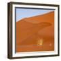 Namibia, Namib-Naukluft Park. Bushman's Grass and Red Sand Dune-Jaynes Gallery-Framed Photographic Print