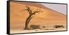 Namibia, Namib-Naukluft Park, Deadvlei. Dead tree and sand dunes.-Jaynes Gallery-Framed Stretched Canvas