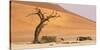 Namibia, Namib-Naukluft Park, Deadvlei. Dead tree and sand dunes.-Jaynes Gallery-Stretched Canvas