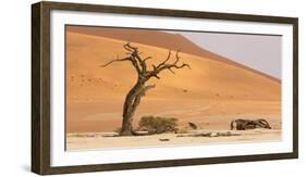 Namibia, Namib-Naukluft Park, Deadvlei. Dead tree and sand dunes.-Jaynes Gallery-Framed Photographic Print