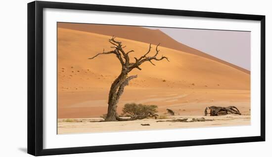 Namibia, Namib-Naukluft Park, Deadvlei. Dead tree and sand dunes.-Jaynes Gallery-Framed Photographic Print