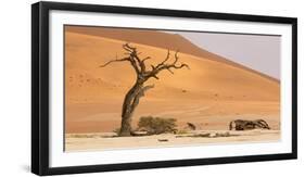 Namibia, Namib-Naukluft Park, Deadvlei. Dead tree and sand dunes.-Jaynes Gallery-Framed Photographic Print