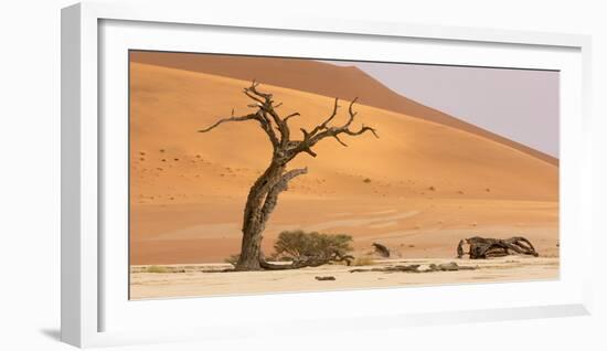 Namibia, Namib-Naukluft Park, Deadvlei. Dead tree and sand dunes.-Jaynes Gallery-Framed Photographic Print