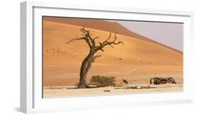 Namibia, Namib-Naukluft Park, Deadvlei. Dead tree and sand dunes.-Jaynes Gallery-Framed Photographic Print