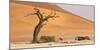 Namibia, Namib-Naukluft Park, Deadvlei. Dead tree and sand dunes.-Jaynes Gallery-Mounted Photographic Print