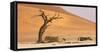 Namibia, Namib-Naukluft Park, Deadvlei. Dead tree and sand dunes.-Jaynes Gallery-Framed Stretched Canvas