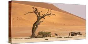 Namibia, Namib-Naukluft Park, Deadvlei. Dead tree and sand dunes.-Jaynes Gallery-Stretched Canvas