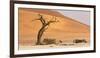 Namibia, Namib-Naukluft Park, Deadvlei. Dead tree and sand dunes.-Jaynes Gallery-Framed Photographic Print